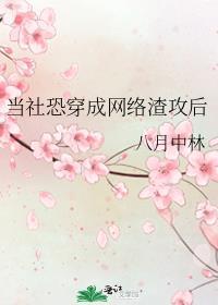 当社恐穿成网络渣攻后百度