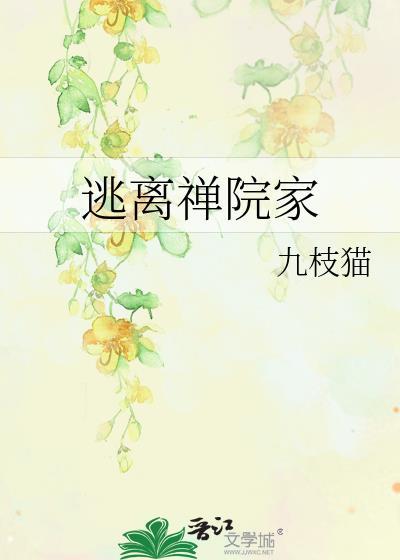 逃离禅院家讲了什么