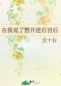在我说了想开逆后宫后评价