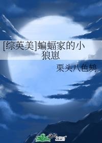 综英美蝙蝠家的小狼崽TXT