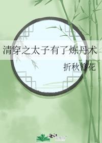 清穿之太子有了炼丹术免费阅读