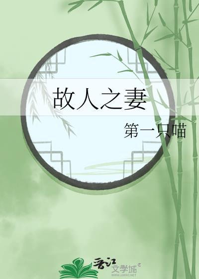 故人之妻TXT电子书