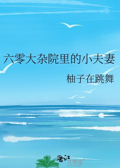 六零大杂院里的小夫妻晋江