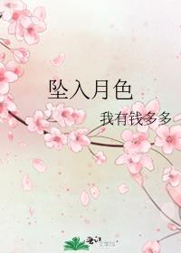 坠入月色我有钱多多晋江