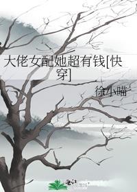 我是平妻也是被废的皇后免费阅读