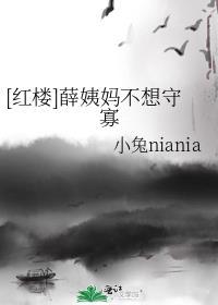 红楼梦中薛姨妈是个什么样的人