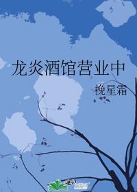 龙炎文化传媒有限公司