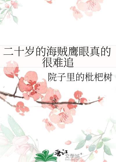 二十岁的海贼鹰眼真的很难追免费