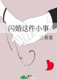 闪婚这件小事免费阅读无弹窗