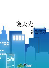 窥天光by骨月弯刀讲的什么