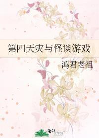 第四天灾游戏文