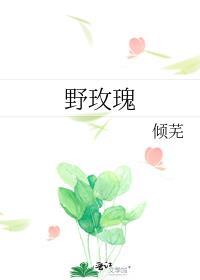 野玫瑰鹿时安免费阅读