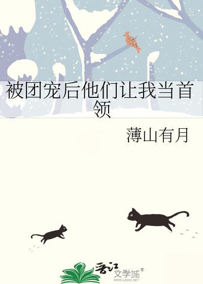 被团宠后他们让我当首领晋江