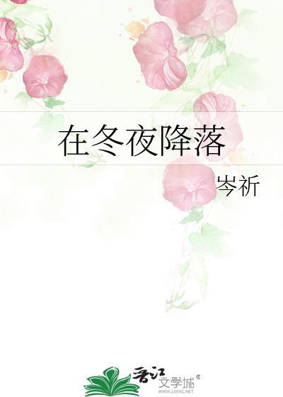 在冬夜降落岑祈笔趣阁
