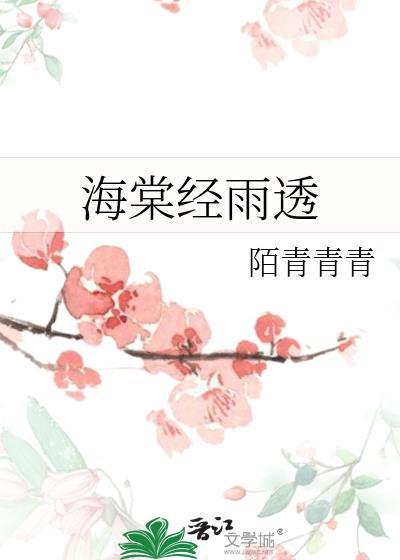海棠经雨透讲什么