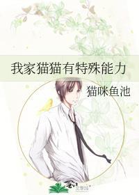 我家猫猫有特殊能力作者猫咪鱼池