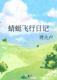 蜻蜓飞行日记讲的什么故事
