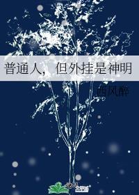 都是外挂