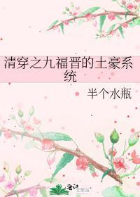 清穿之九福晋驾到完结