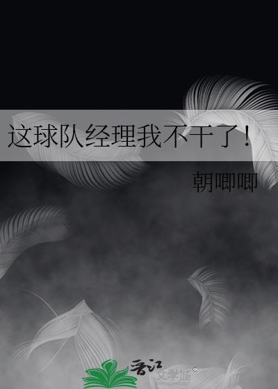 球队经理不好当作者