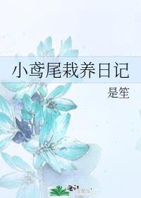 小鸢尾栽养日记txt番外