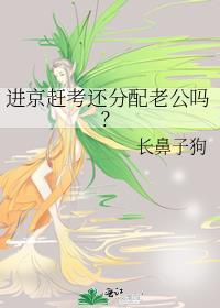 进京赶考还分配老公吗免费阅读