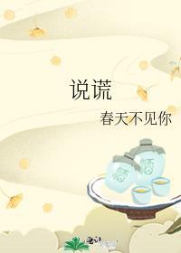 说谎歌词完整版