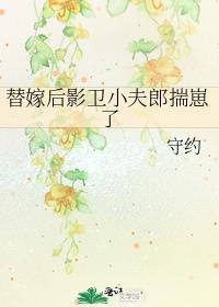 替嫁后影卫小夫郎揣崽了主角身份