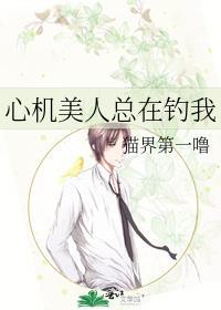 心机美人总在钓我TXT免费全本