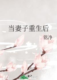 重生成为妻