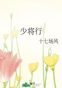 少将行by十七场风简介