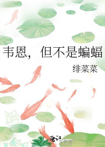 但不是蝙蝠侠吗