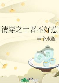 清穿之土著不好惹番外篇