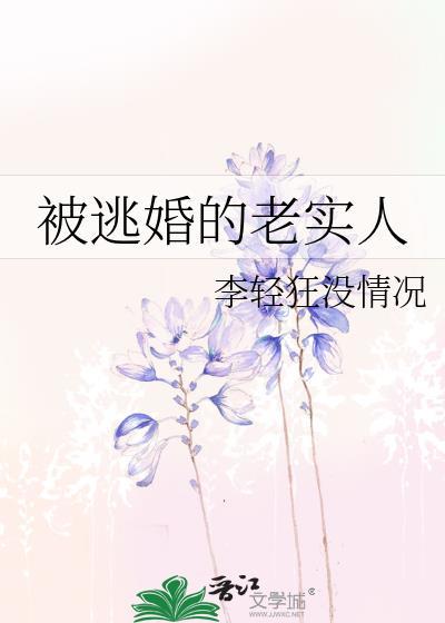 被逃婚的老实人讲了什么