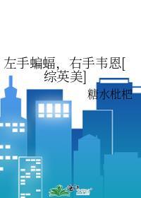 左手蝙蝠右手韦恩综英美