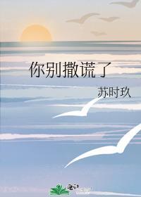 你别对我说谎