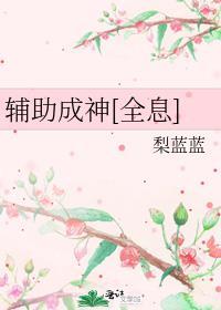 辅助成神[全息