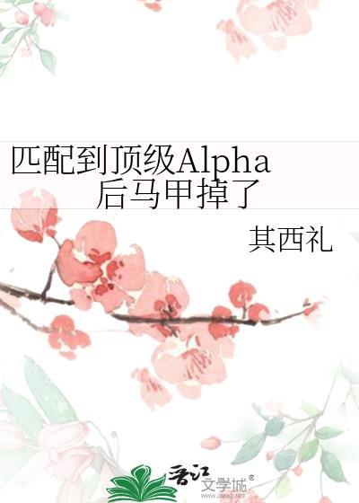 匹配的alpha对我一见钟情