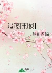 追逐刑侦by焚花煮锦讲什么