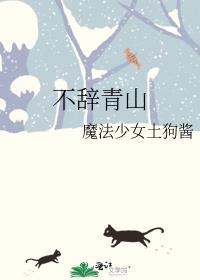 不辞青山txt