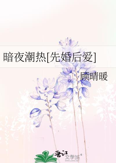 暗夜 txt