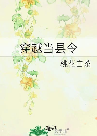 穿越古代当县令会武功