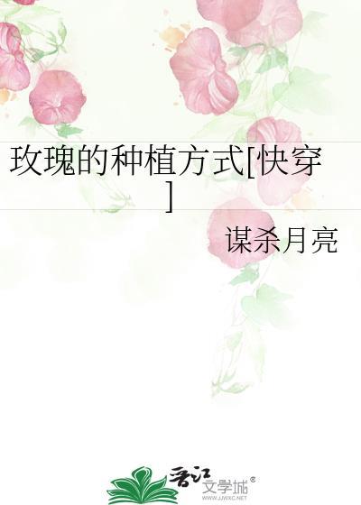玫瑰种植教程