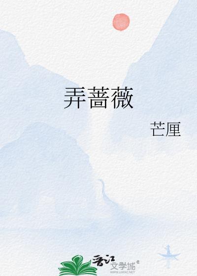弄蔷薇芒厘晋江