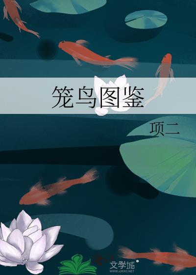 笼鸟图鉴全集免费阅读