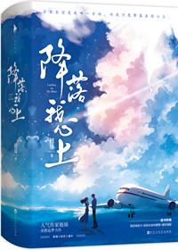 降落我心上番外