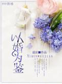 以婚为鉴书评