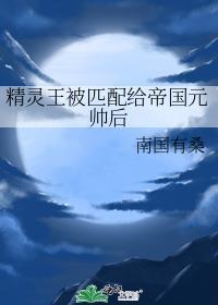 精灵王pve