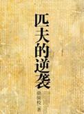 匹夫的逆袭完整版