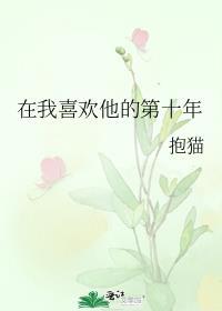 在我喜欢他的第十年百度